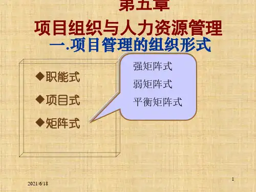 第五章 项目组织与人力资源管理《现代项目管理》PPT课件