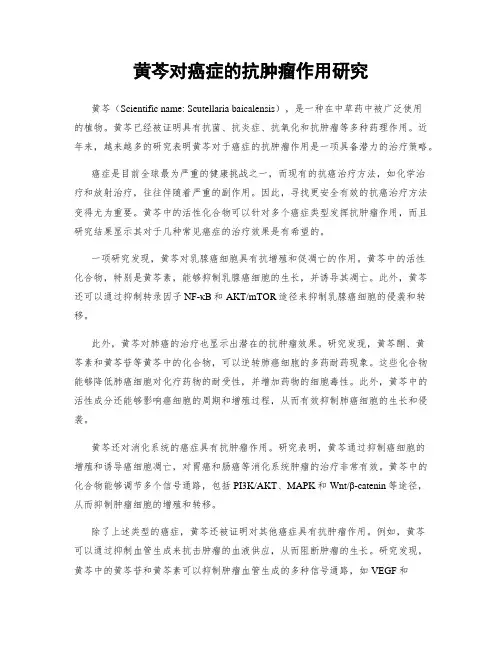 黄芩对癌症的抗肿瘤作用研究
