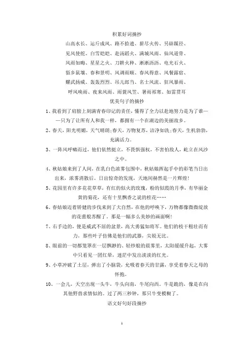 精选积累好词好句摘抄大全