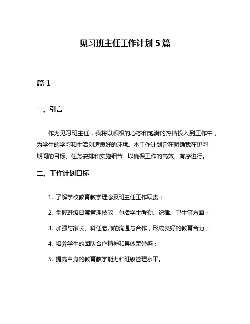 见习班主任工作计划5篇