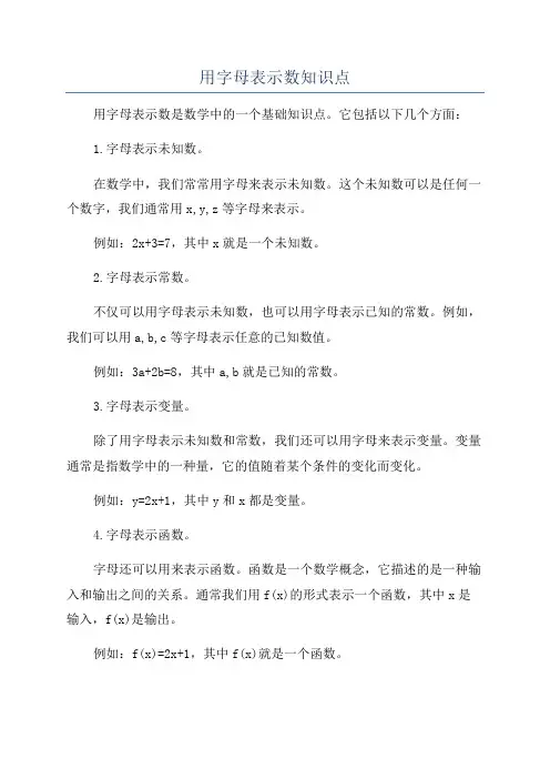 用字母表示数知识点