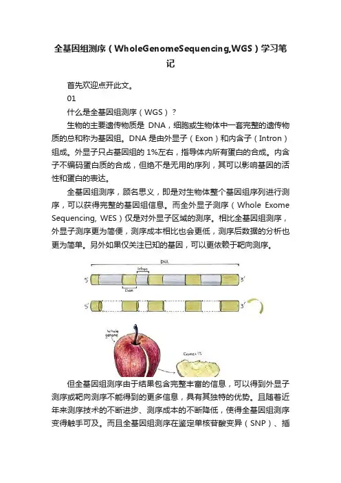 全基因组测序（WholeGenomeSequencing,WGS）学习笔记