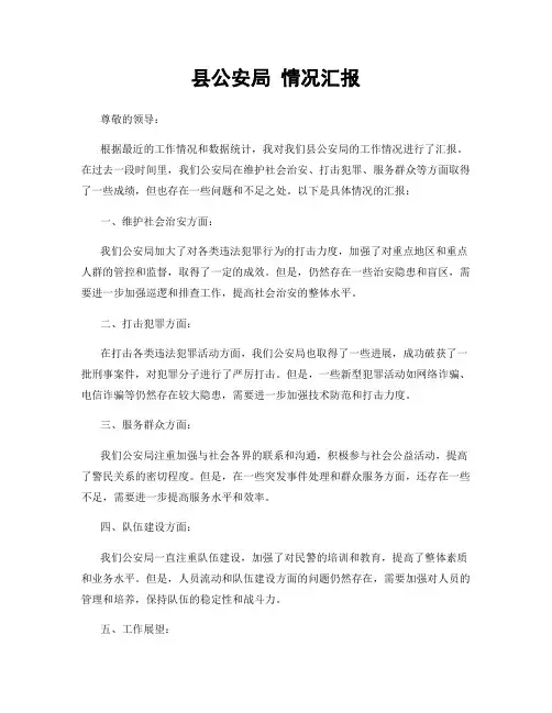县公安局 情况汇报