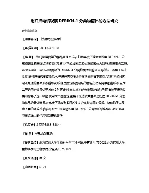 用扫描电镜观察DFRIKN-1分离物菌体的方法研究