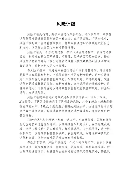 风险评级 
