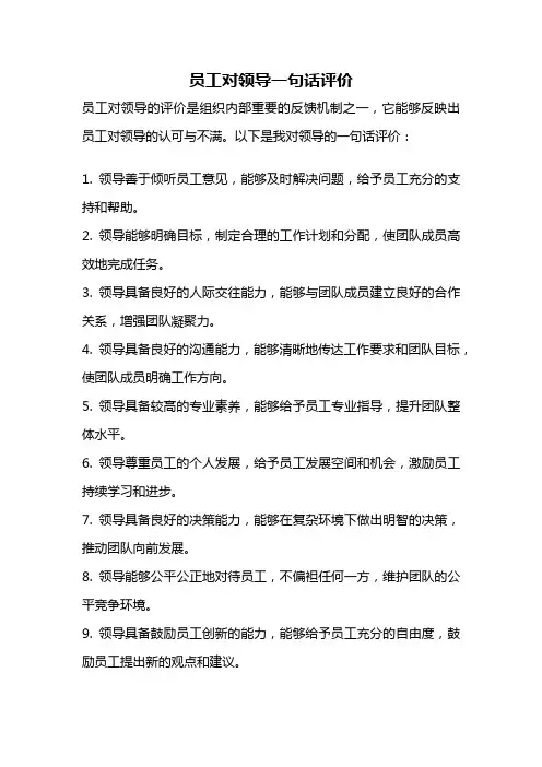 员工对领导一句话评价
