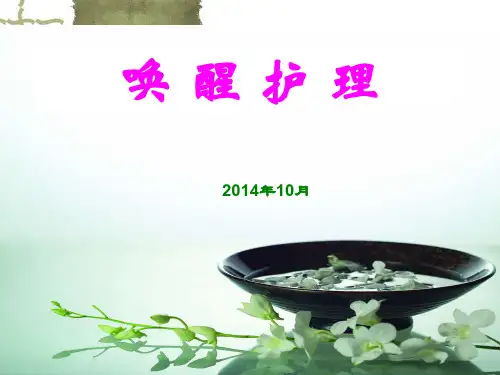 最全PPT唤醒护理