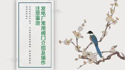 发电厂常用阀门介绍及操作注意事项
