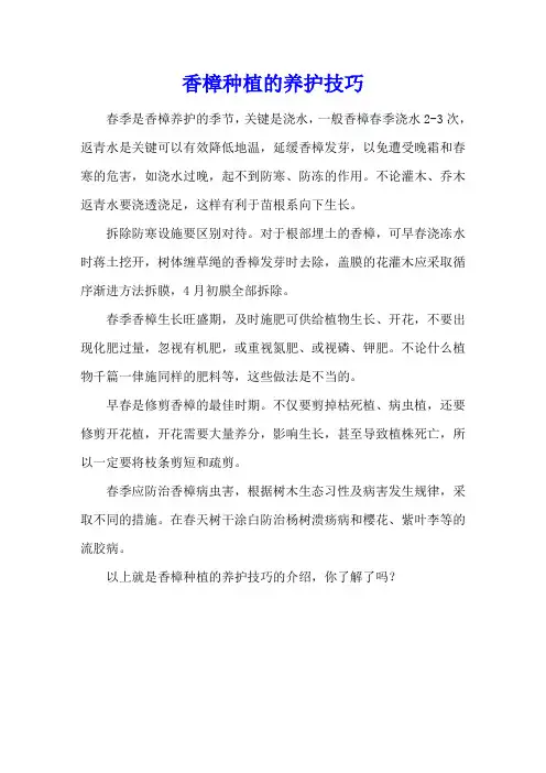香樟种植的养护技巧