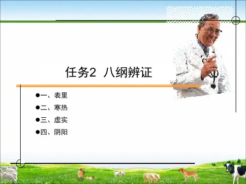 中兽医八纲辨证ppt资料