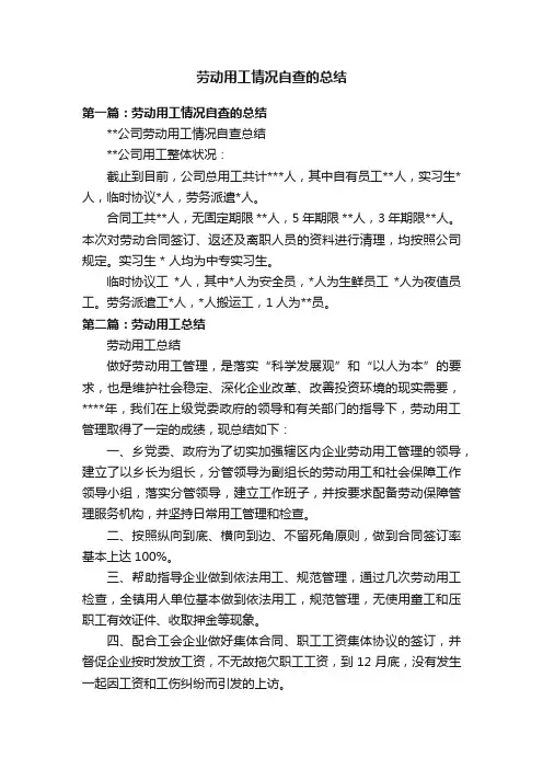 劳动用工情况自查的总结
