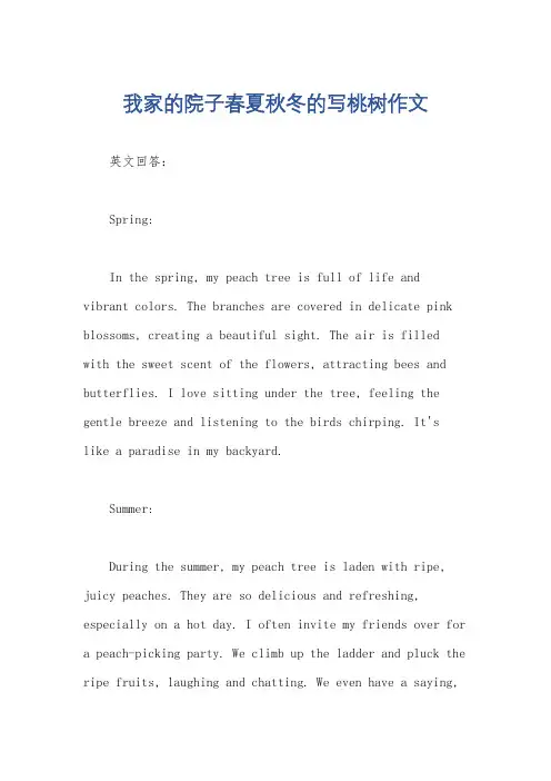 我家的院子春夏秋冬的写桃树作文