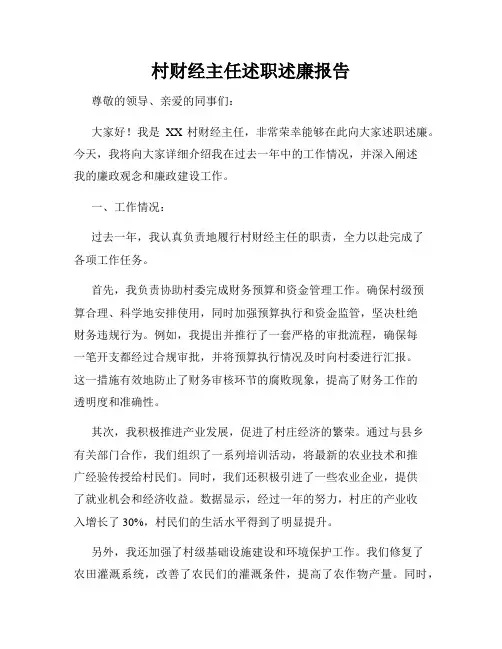 村财经主任述职述廉报告