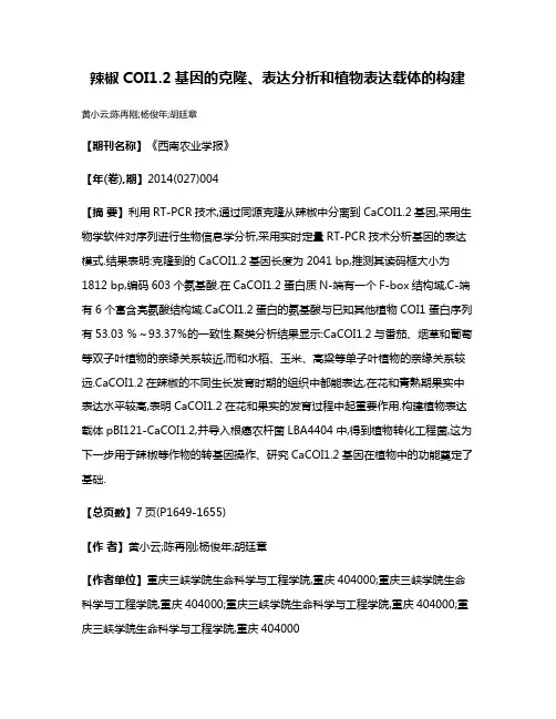 辣椒COI1.2基因的克隆、表达分析和植物表达载体的构建