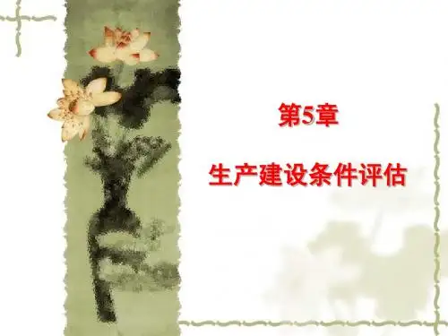 项目建设与生产条件评估
