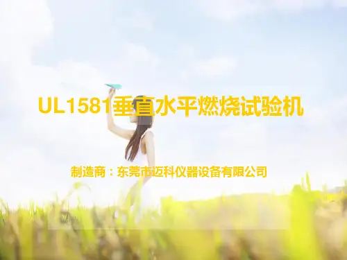 UL1581垂直水平燃烧试验机
