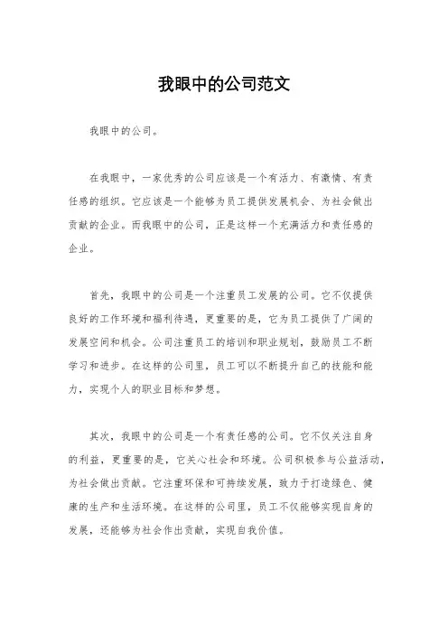 我眼中的公司范文