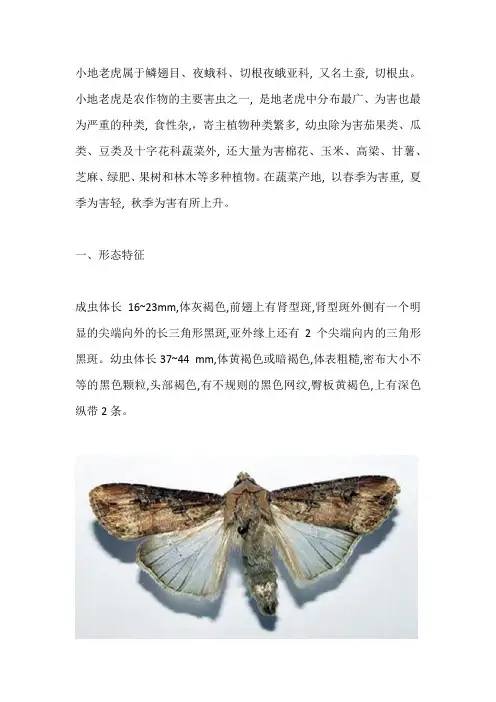 小地老虎危害严重,找准方法轻松防治!