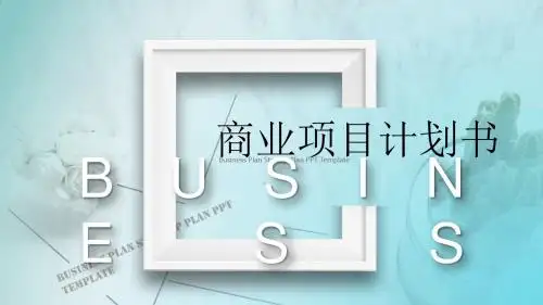 商业项目计划书公司简介总结融资方案