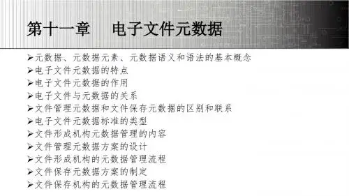电子文件管理教程 第11章