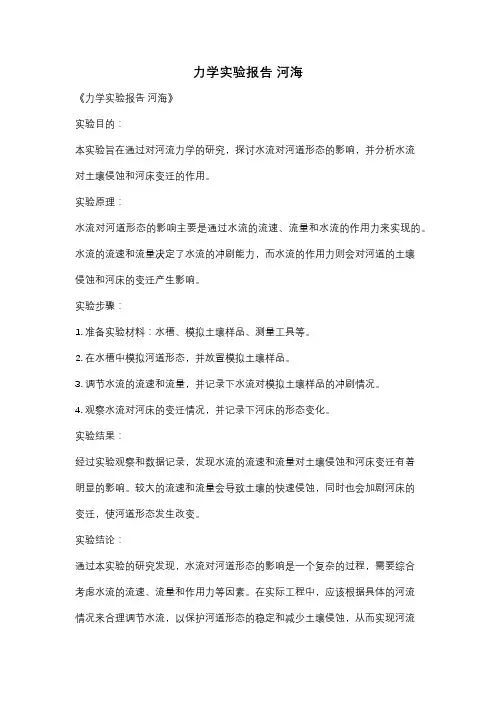 力学实验报告 河海