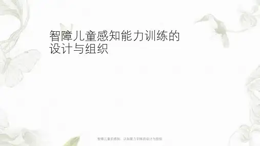 智障儿童的感知、认知能力训练的设计与组织ppt课件
