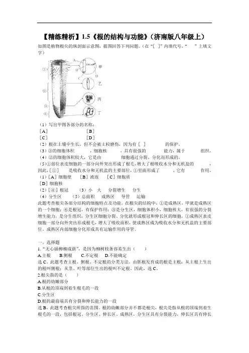 八上《根的结构与功能》同步测试