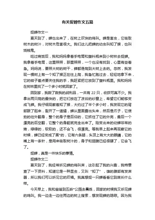 有关捉蝉作文五篇