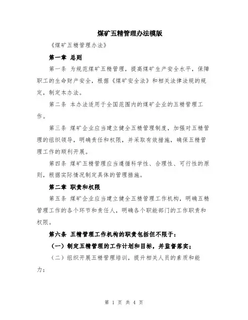煤矿五精管理办法模版
