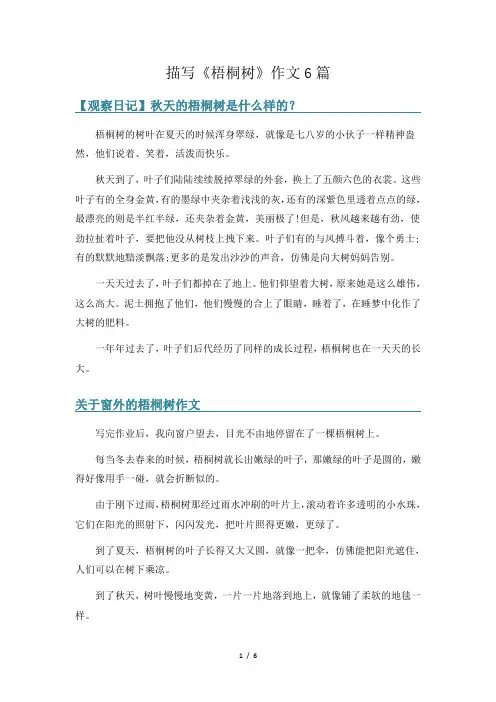 描写《梧桐树》作文6篇