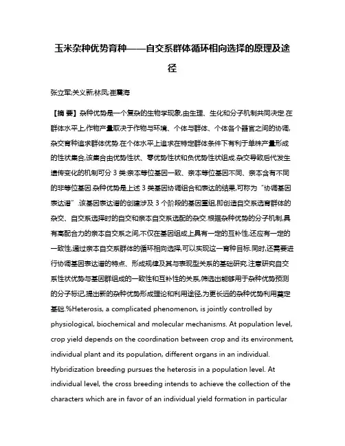 玉米杂种优势育种——自交系群体循环相向选择的原理及途径