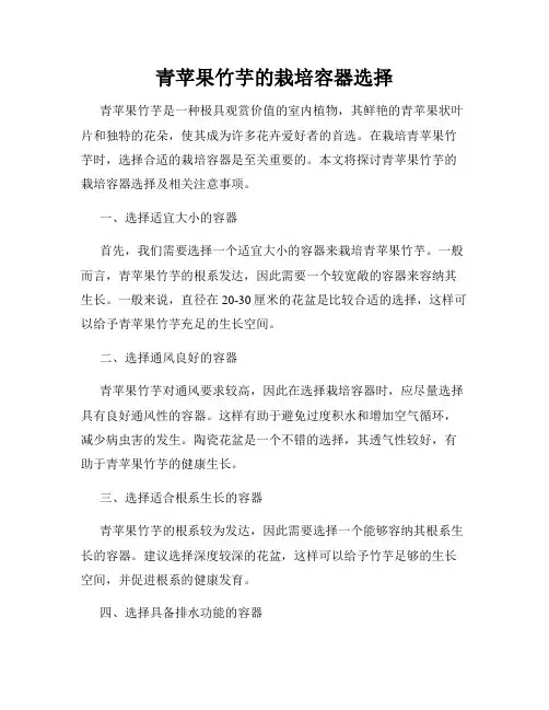 青苹果竹芋的栽培容器选择