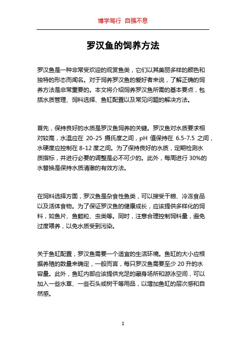 罗汉鱼的饲养方法