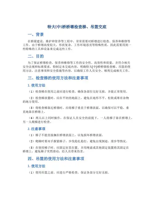 特大(中)桥桥墩检查梯、吊篮交底
