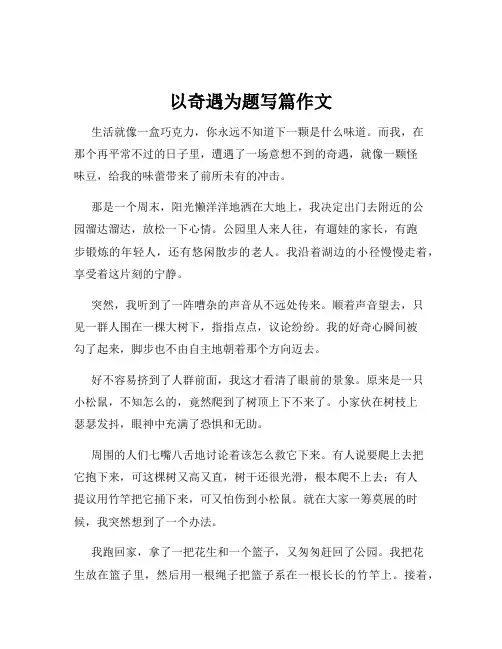 以奇遇为题写篇作文