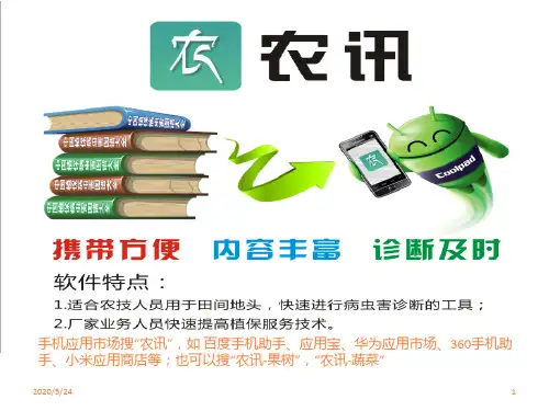 梨树病虫害识别与防治ppt课件