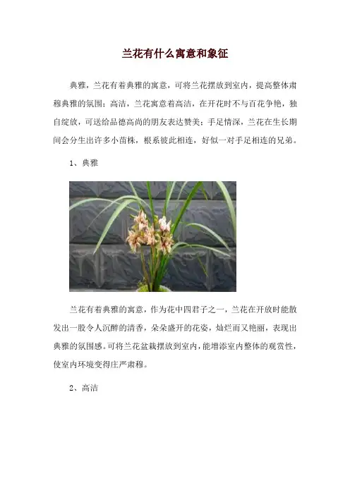 兰花有什么寓意和象征