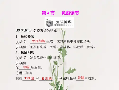 免疫调节PPT课件