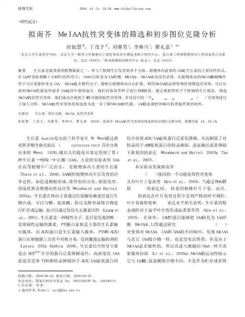 拟南芥MeIAA抗性突变体的筛选和初步图位克隆分析(1)