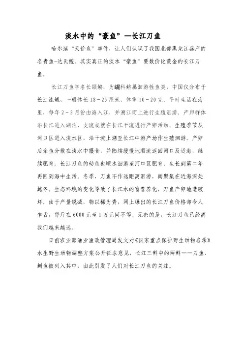 淡水中的“豪鱼”—长江刀鱼