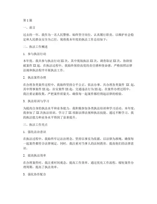 民警个人年度执法总结(3篇)