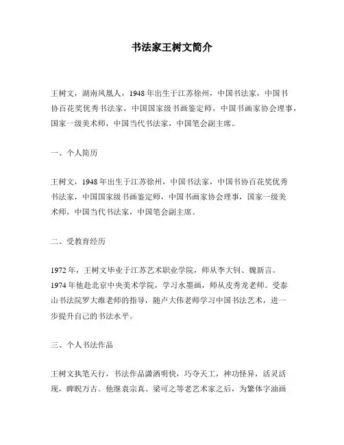 书法家王树文简介