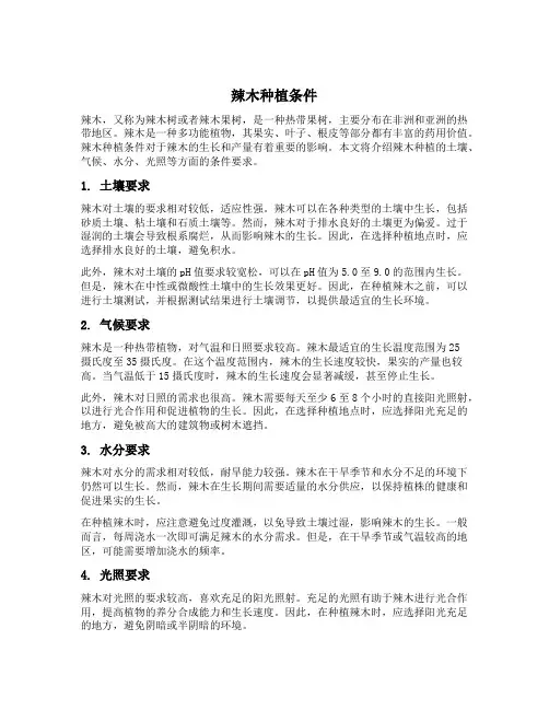 辣木种植条件