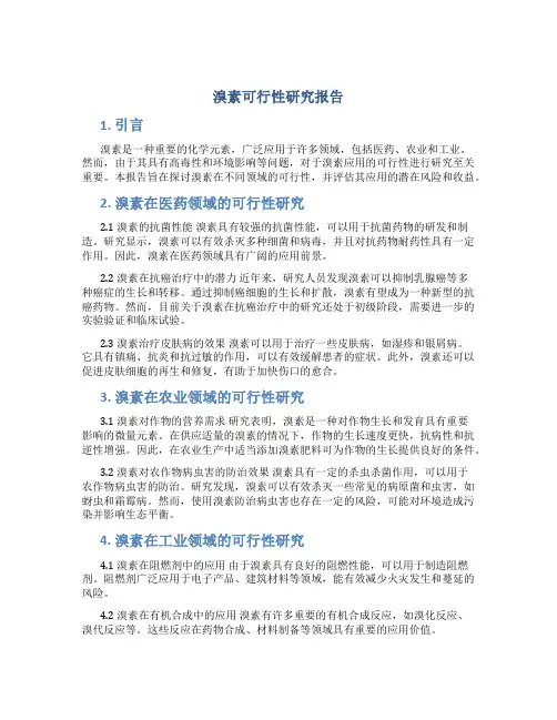 溴素可行性研究报告