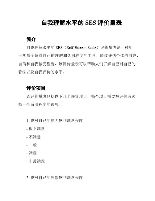 自我理解水平的SES评价量表