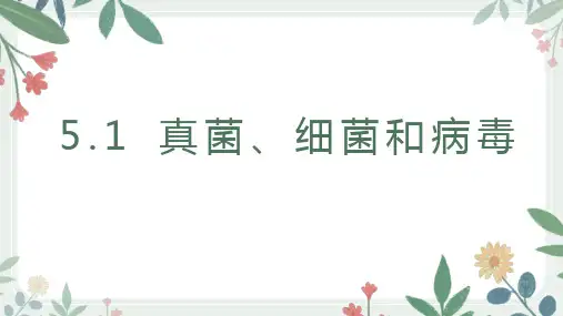 第一节 真菌、细菌和病毒课件2024-2025学年苏教版生物七年级上册