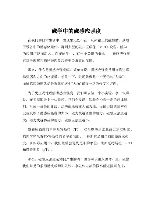 磁学中的磁感应强度