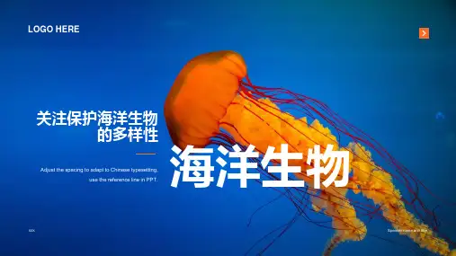 海洋生物多样性课件培训PPT模板