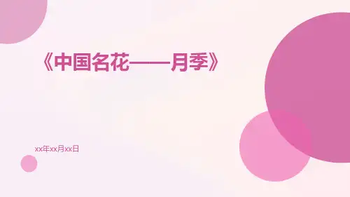 中国名花——月季