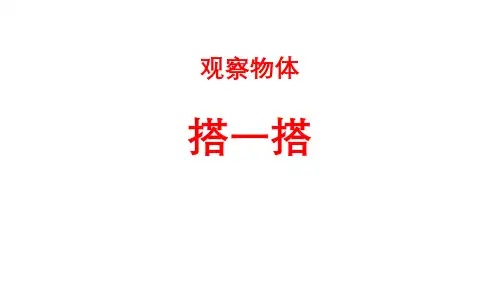 搭一搭 观察物体PPT
